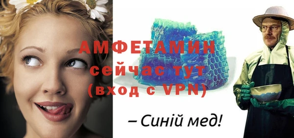 амф Тайга