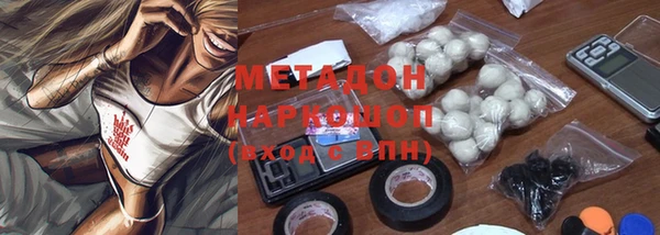 амф Тайга
