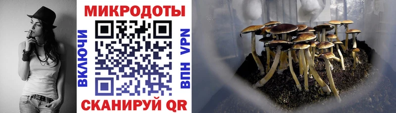 Псилоцибиновые грибы мицелий  Купить где  Кимовск 